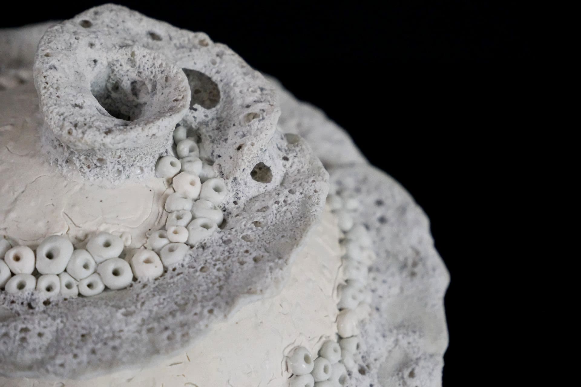 Close-up of a porcelain coral texture